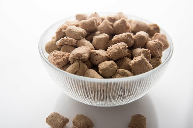 What Is Freeze Dried Dog Food A Complete Description