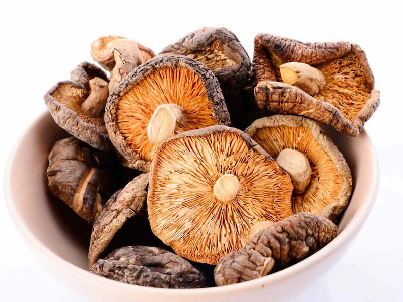 Dried Mushrooms